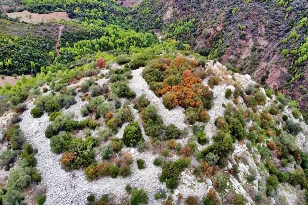 Κάστρο Καλίδονας