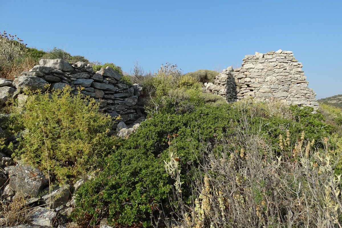 remains of the fortification